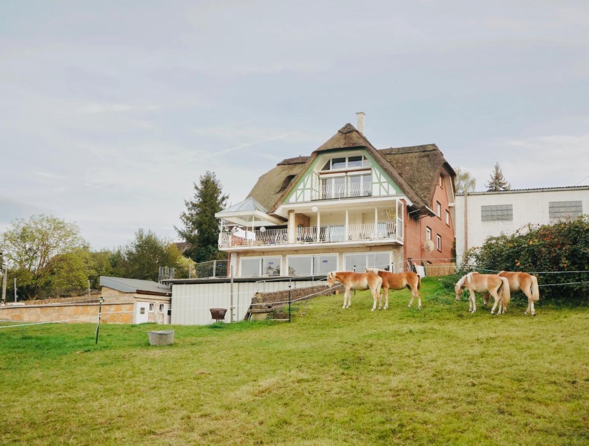 Апартаменти Reet Am Rhein-Heuboden, Eroeffnungsangebot Боппард Екстер'єр фото